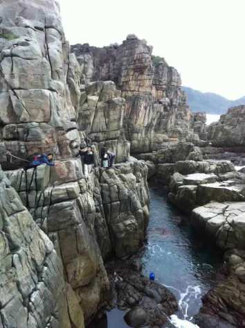 mouse traverse full view mouse traverse full view