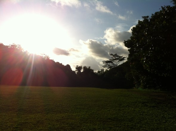 Good weather in DF Good weather in DF