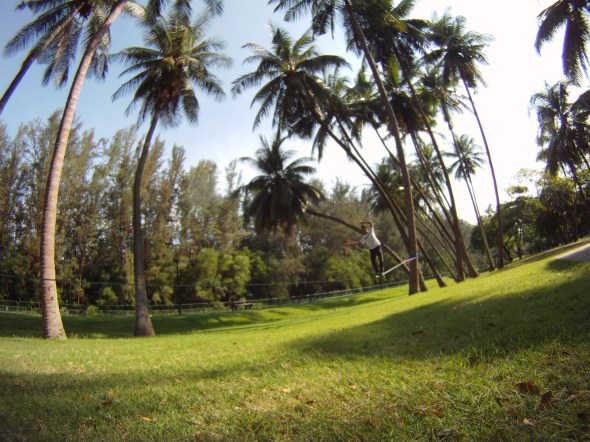 Desky says if you are not studying at home you should be slacklining.. 