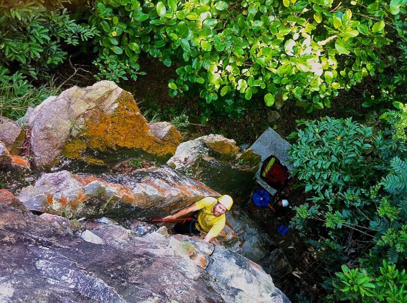 Yeti on pitch 1 of nose