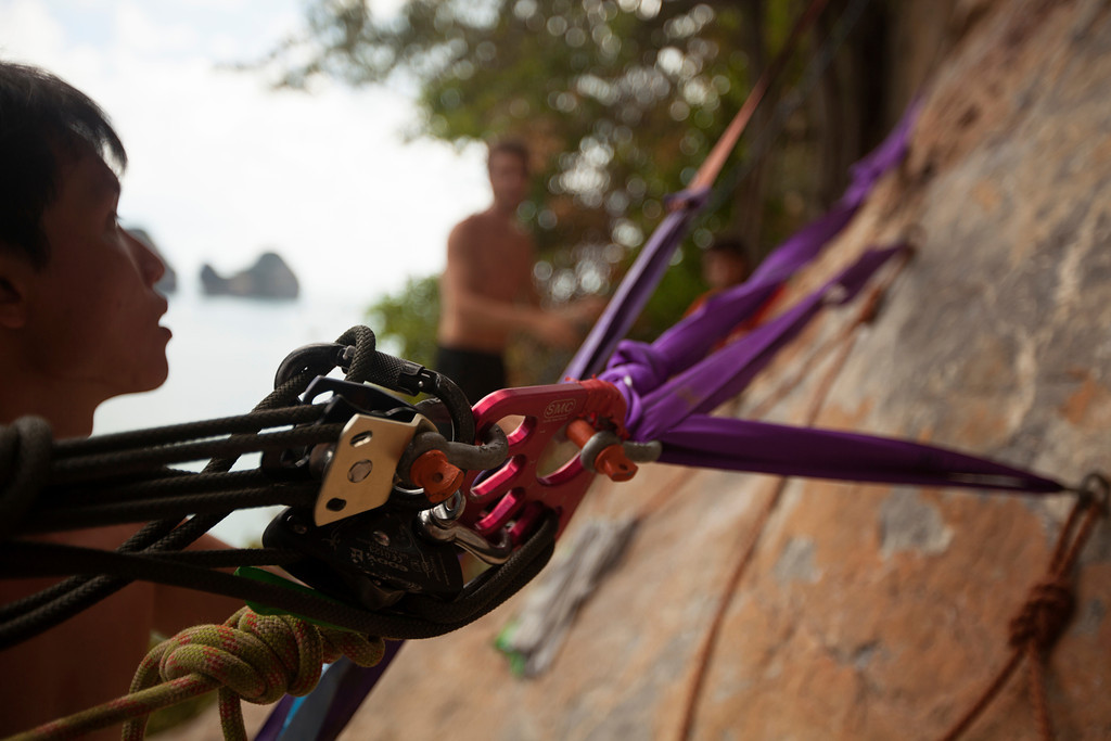 Combinations of my rig and Maxi's plate!