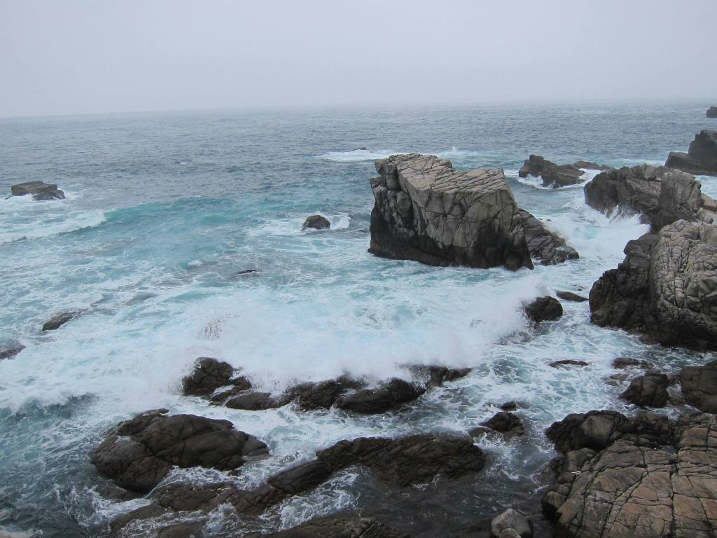 178125_10151648661326203_1895845385_o