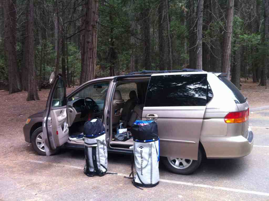 The pigs ate too much.. 