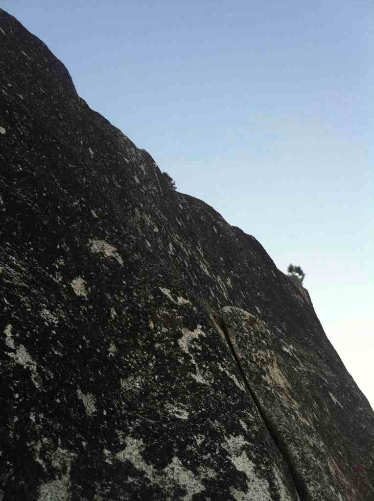 P11 with almost no light..