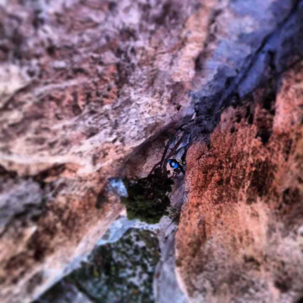 Kelly on the final pitches of the chimney