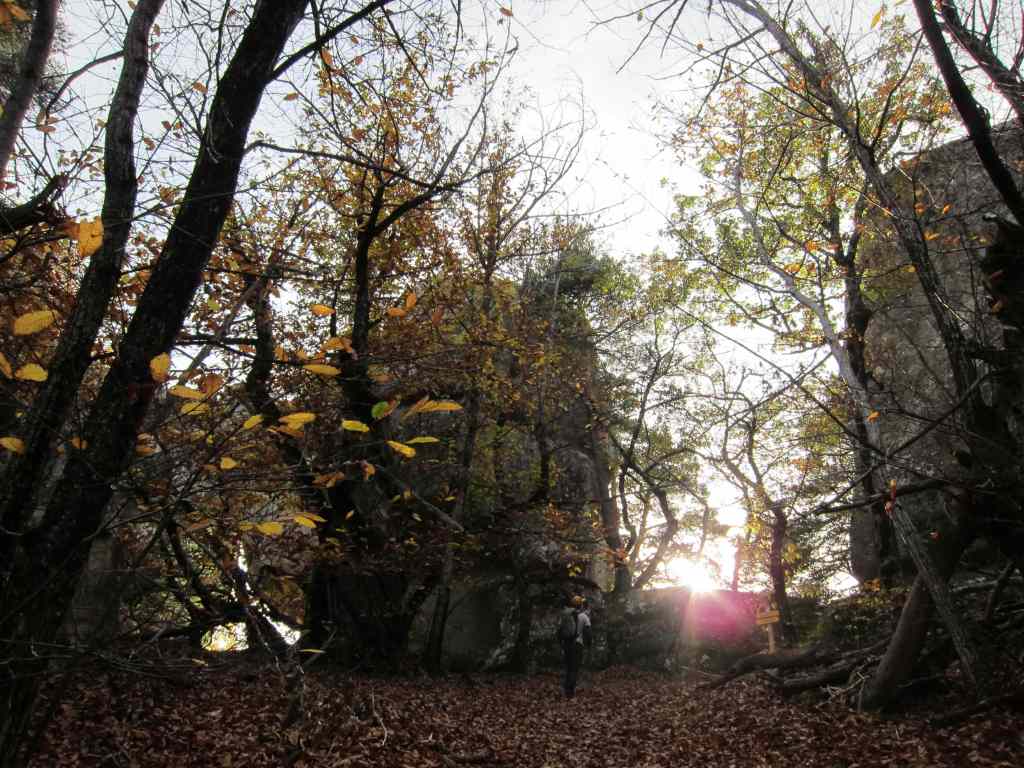 As the leaves fall, the temperature drops too.