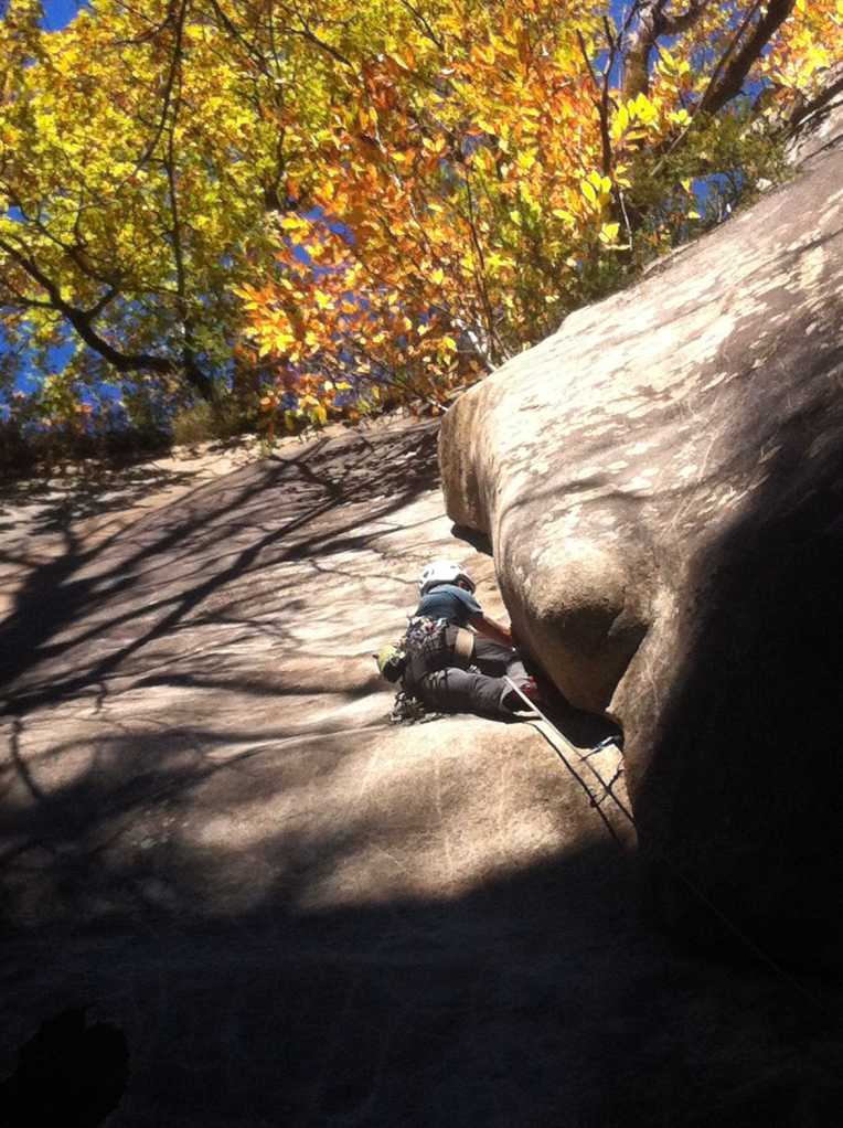 Fumble with the jungle 6c