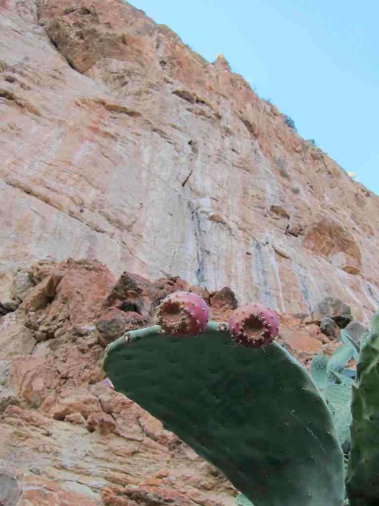 Prickly pads and looking at one of the classic La Diagonal, 2 pitches which can be linked into one 65m pitch of 7a+. Superb!