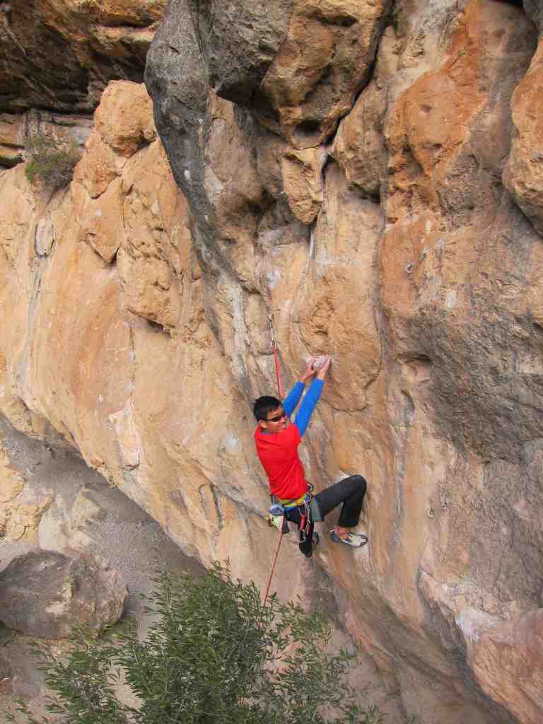 Team PMS leader Chee Meng on Paco El Thor