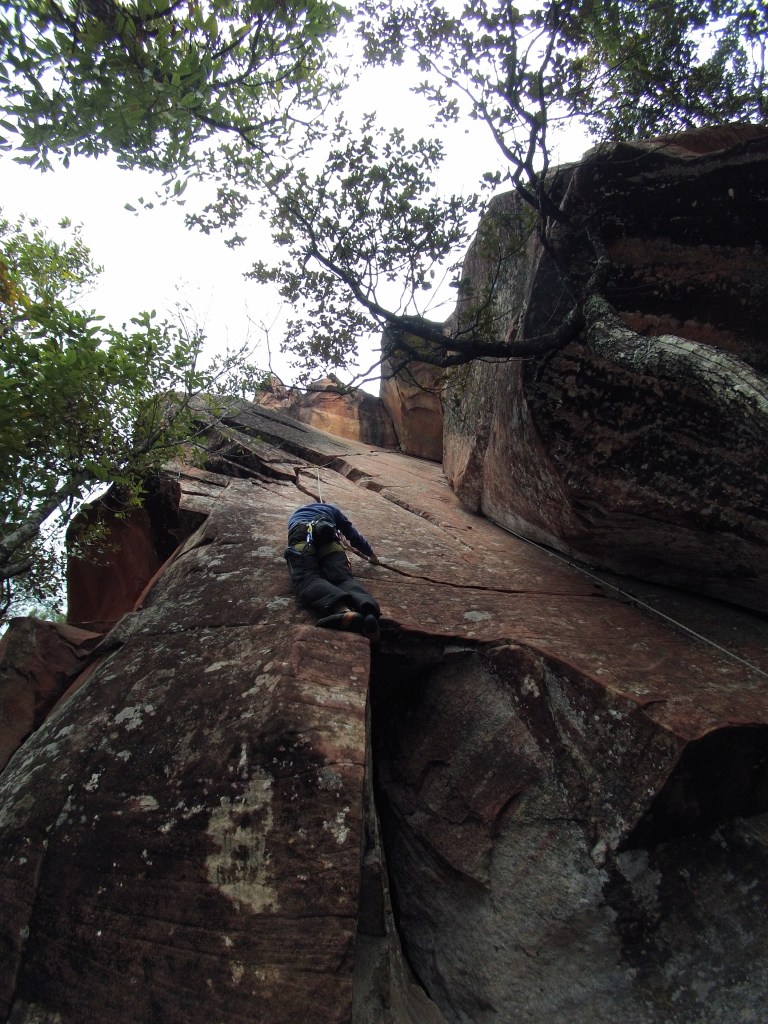 Naldo TRs the Scarface