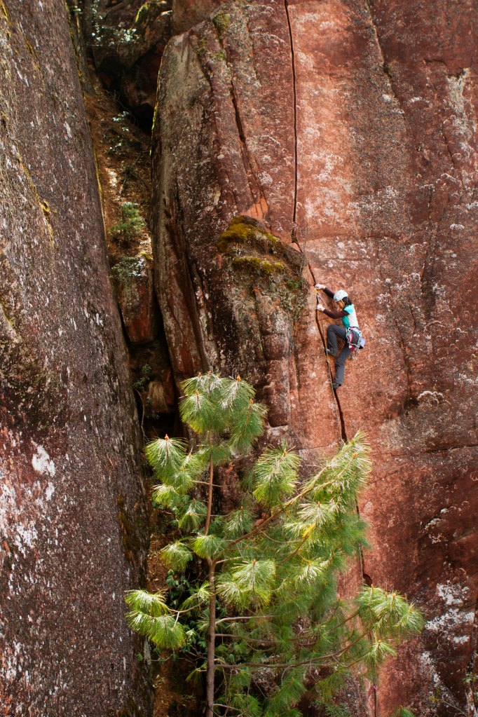 Kelly flashing the Owl!