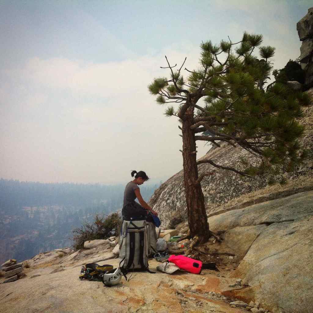 The pine tree at the top marks the end of the route