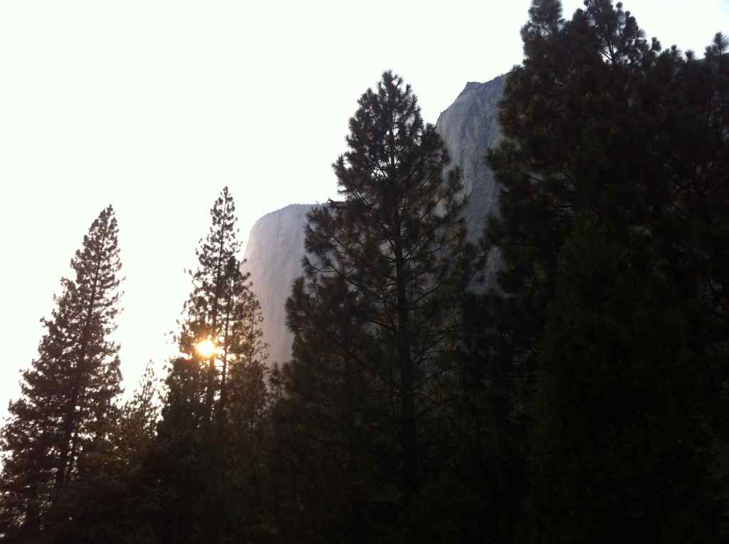 Got to the Manure Pile Buttress bus stop at 5.50 pm and wondering if the bus is coming.