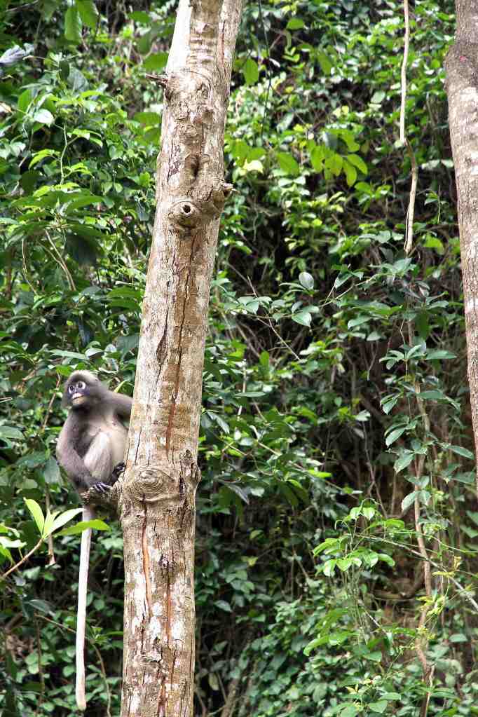 Our little friends around here 