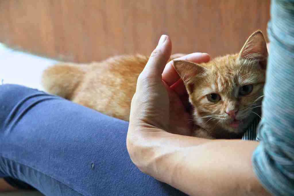 My Mimi this trip! We already miss her!